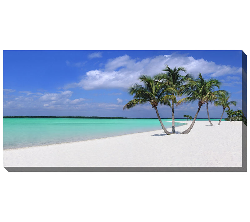 West of the Wind Outdoor Canvas Art Sugar Sand 48" x 24" — Main view