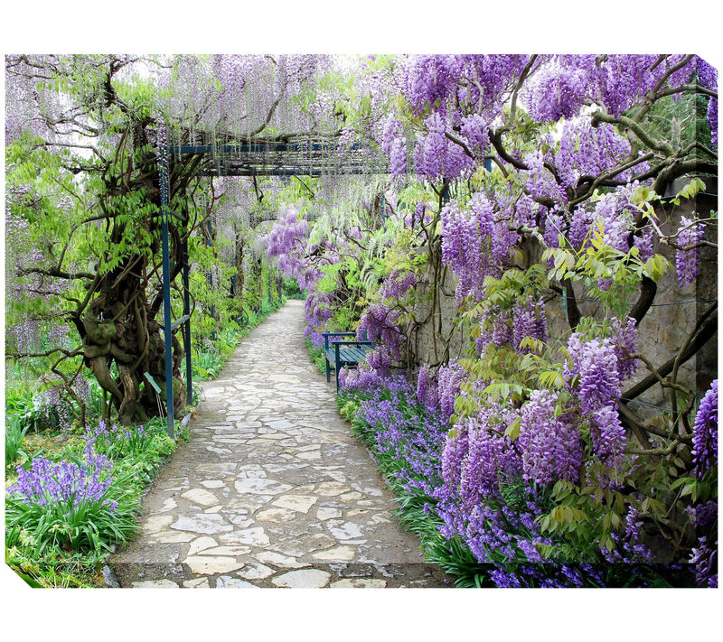 West of the Wind Outdoor Canvas Art Wisteria Path 40" x 30" — View 3