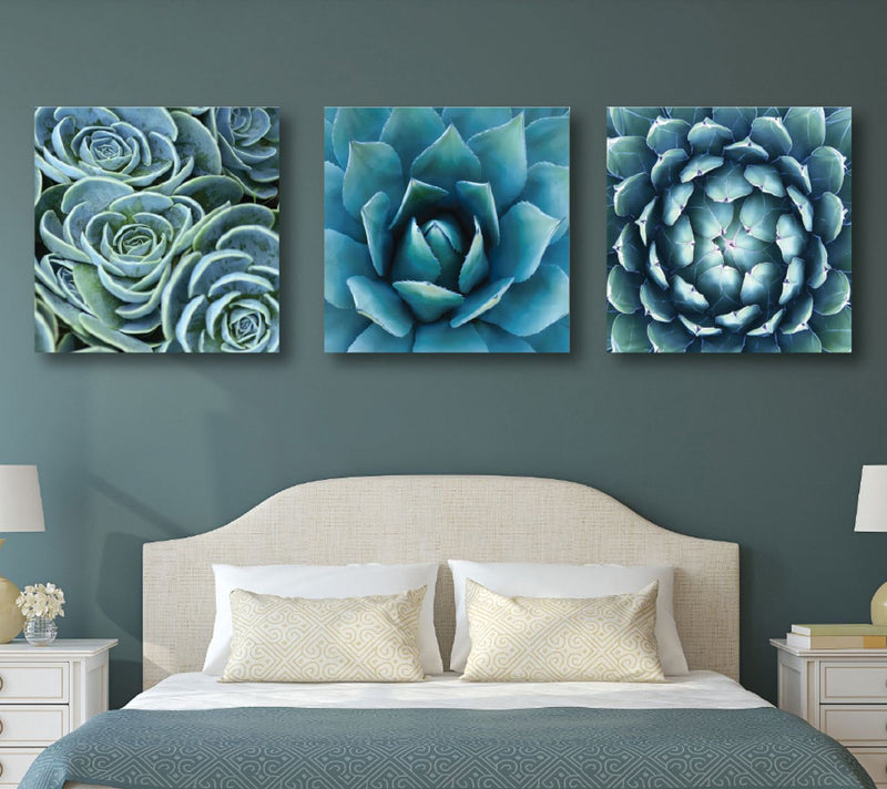 Courtside Market Succulent 3-Piece Canvas Set — View 4