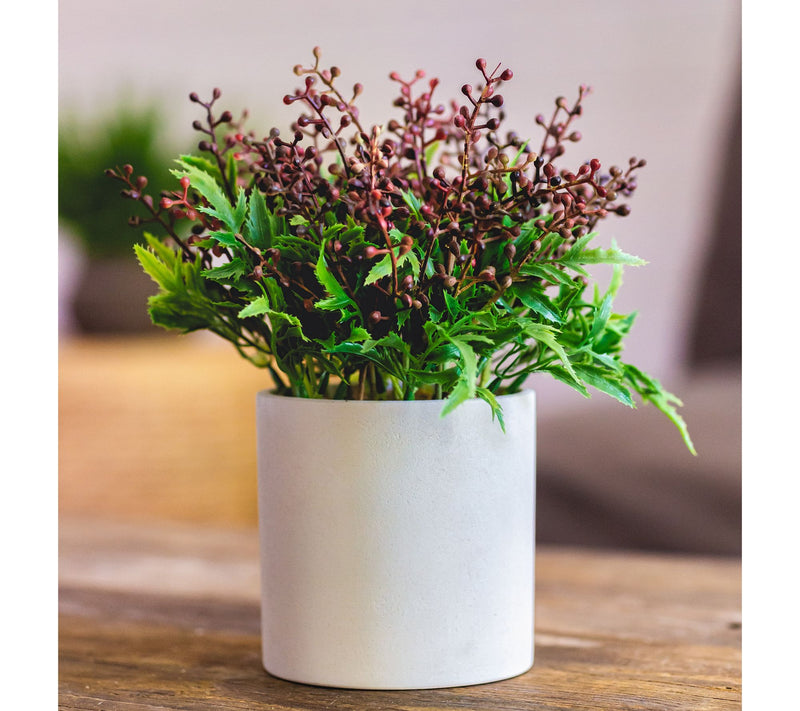 Pacific Thyme Faux Plant in Decorative Ceramic Pot — View 2