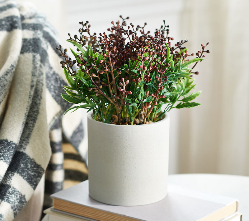 Pacific Thyme Faux Plant in Decorative Ceramic Pot — Main view