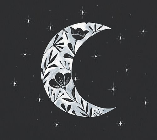 Courtside Market Moon Floral Silhouett 16x16 Canvas — Main view