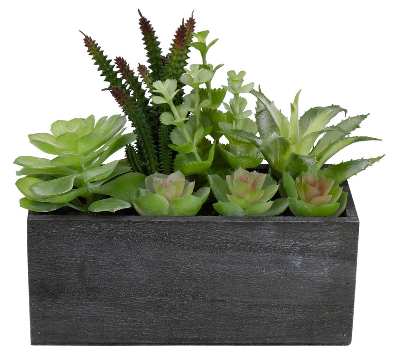 10" Artificial Mixed Succulent Plants in a Rect angular Plante — View 5