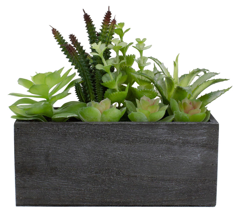 10" Artificial Mixed Succulent Plants in a Rect angular Plante — Main view