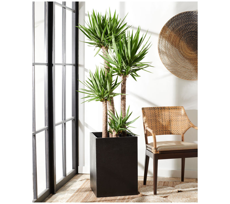 Kendri Planter by Safavieh — View 7