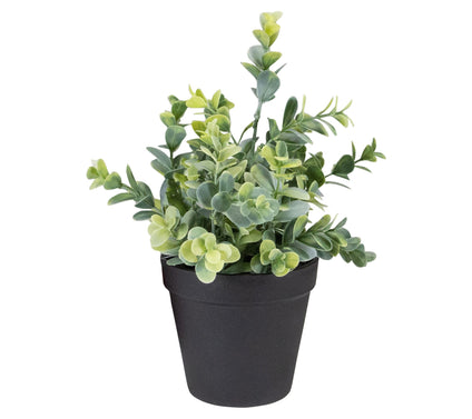 Northlight 10" Green Artificial Melia Azedarach Plant
