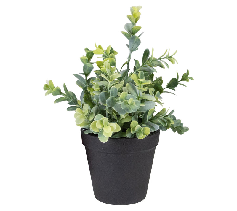 Northlight 10" Green Artificial Melia Azedarach Plant — Main view