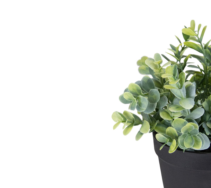 Northlight 10" Green Artificial Melia Azedarach Plant — View 6