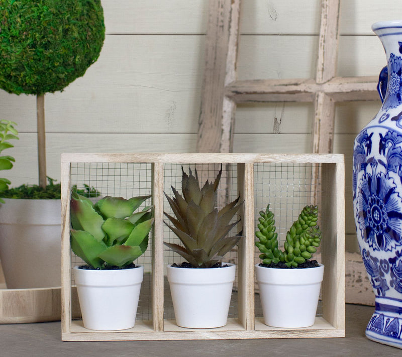Northlight 10.75" Artificial Potted Succulents in Wooden Box — View 7