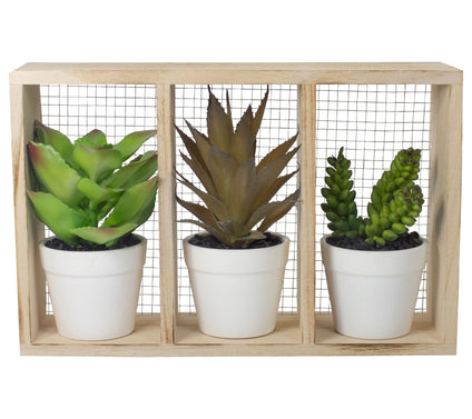 Northlight 10.75" Artificial Potted Succulents in Wooden Box
