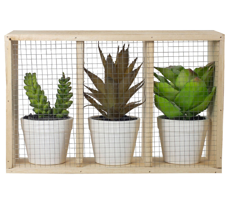 Northlight 10.75" Artificial Potted Succulents in Wooden Box — View 5