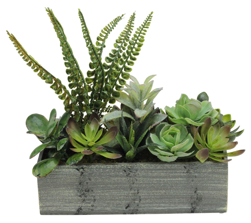 Northlight 11.75" Artificial Succulent Plants in Planter — Main view