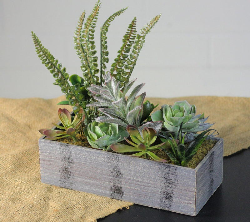 Northlight 11.75" Artificial Succulent Plants in Planter — View 4