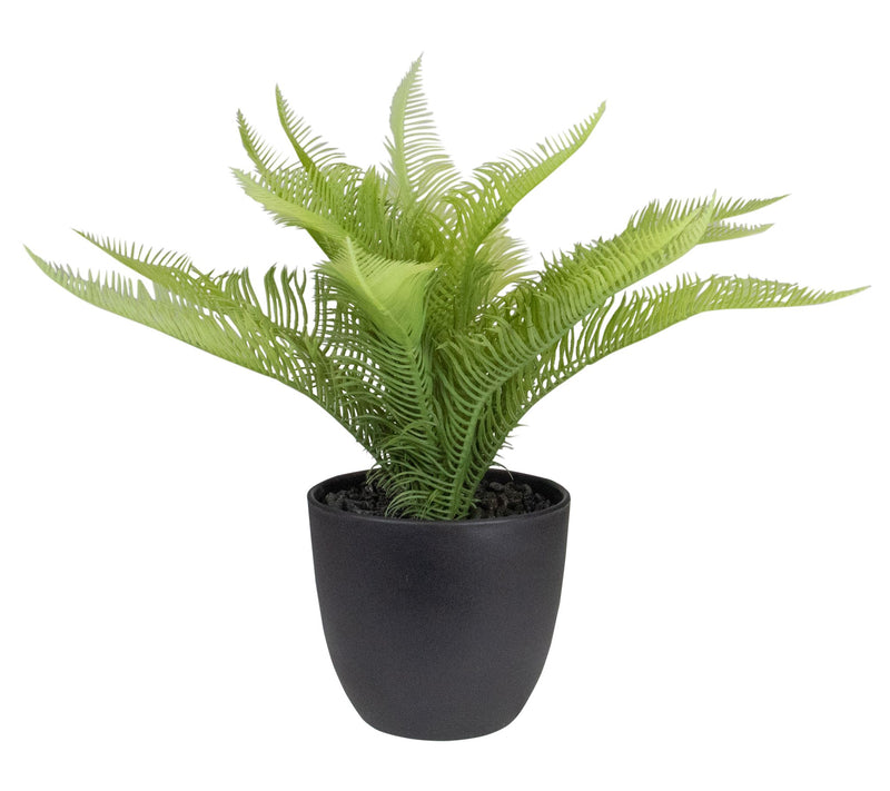 Northlight 12" Potted Green Artificial Pinus Plant — Main view