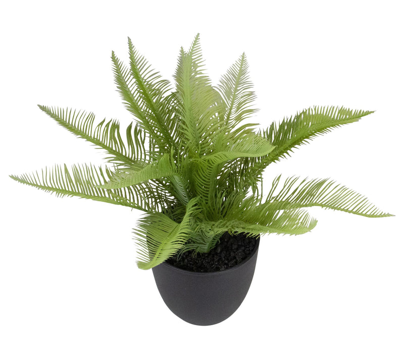 Northlight 12" Potted Green Artificial Pinus Plant — View 6