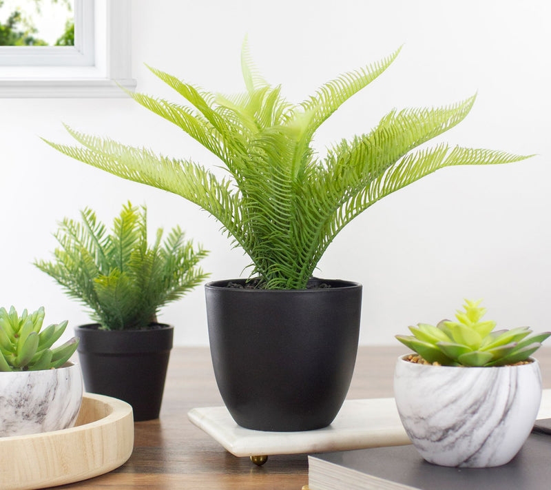 Northlight 12" Potted Green Artificial Pinus Plant — View 7