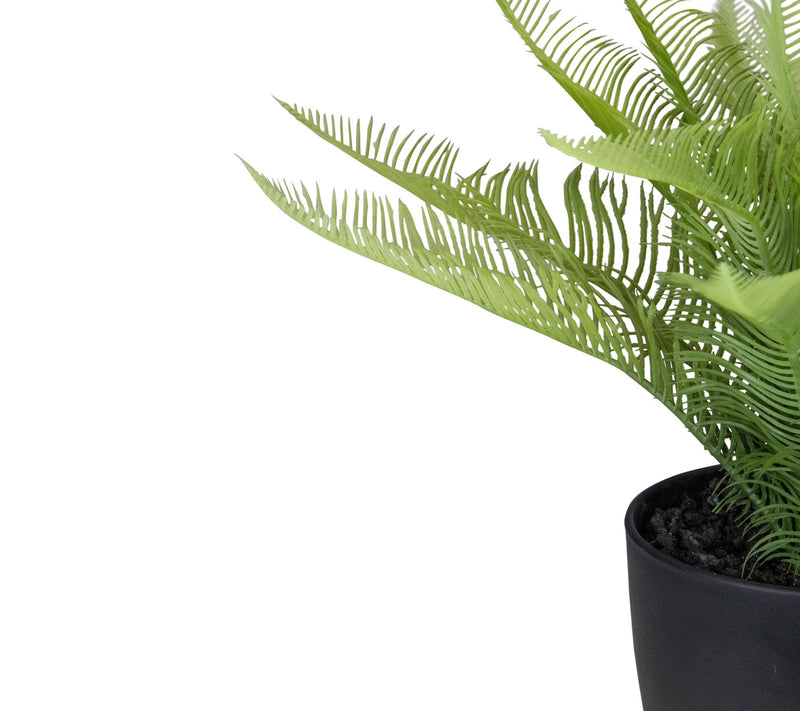 Northlight 12" Potted Green Artificial Pinus Plant — View 4