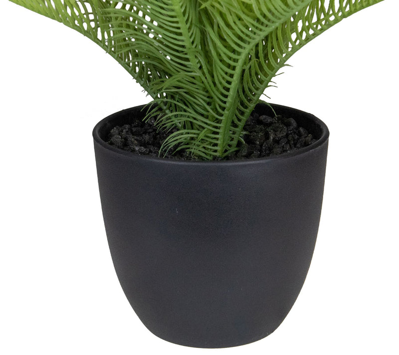 Northlight 12" Potted Green Artificial Pinus Plant — View 5