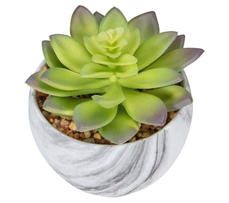 Northlight 4" Artificial Succulent in Faux Marble Pot — View 7