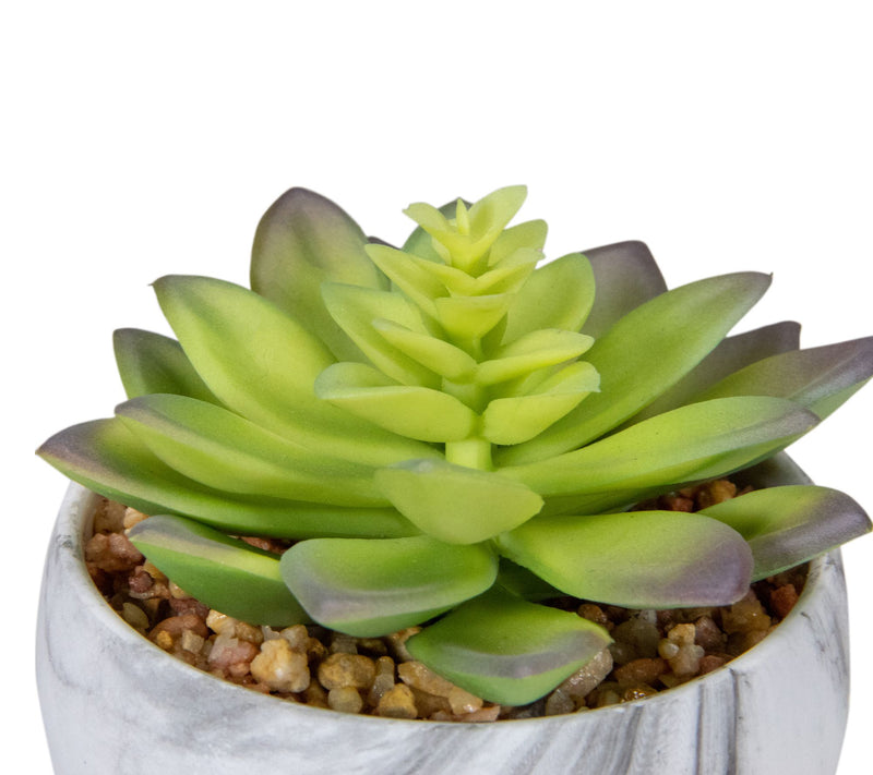 Northlight 4" Artificial Succulent in Faux Marble Pot — View 6