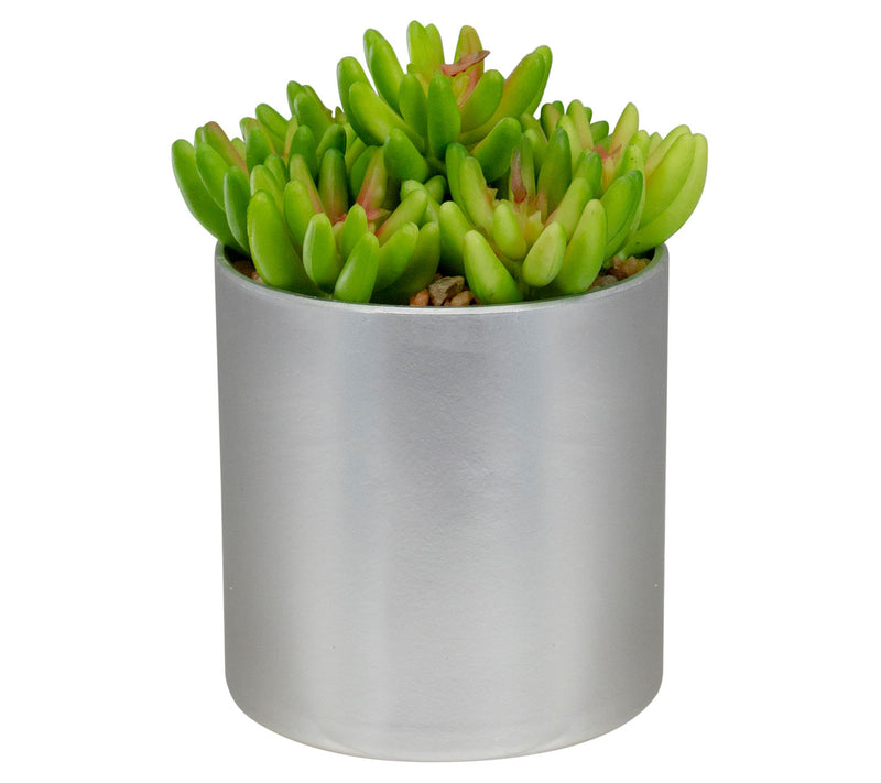 Northlight 4.75" Potted Artificial Sedum Succulent — View 3