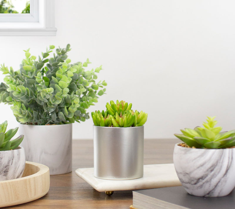 Northlight 4.75" Potted Artificial Sedum Succulent — View 6