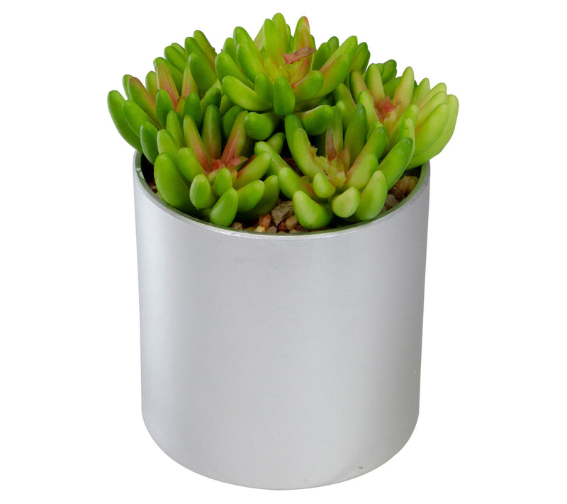 Northlight 4.75" Potted Artificial Sedum Succulent — View 4