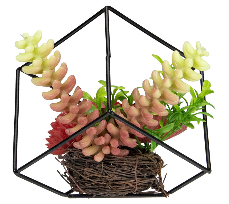 Northlight 5.5" Artificial Succulent Arrangement in Wire Frame — View 5
