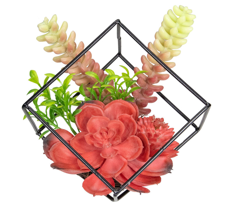 Northlight 5.5" Artificial Succulent Arrangement in Wire Frame — Main view