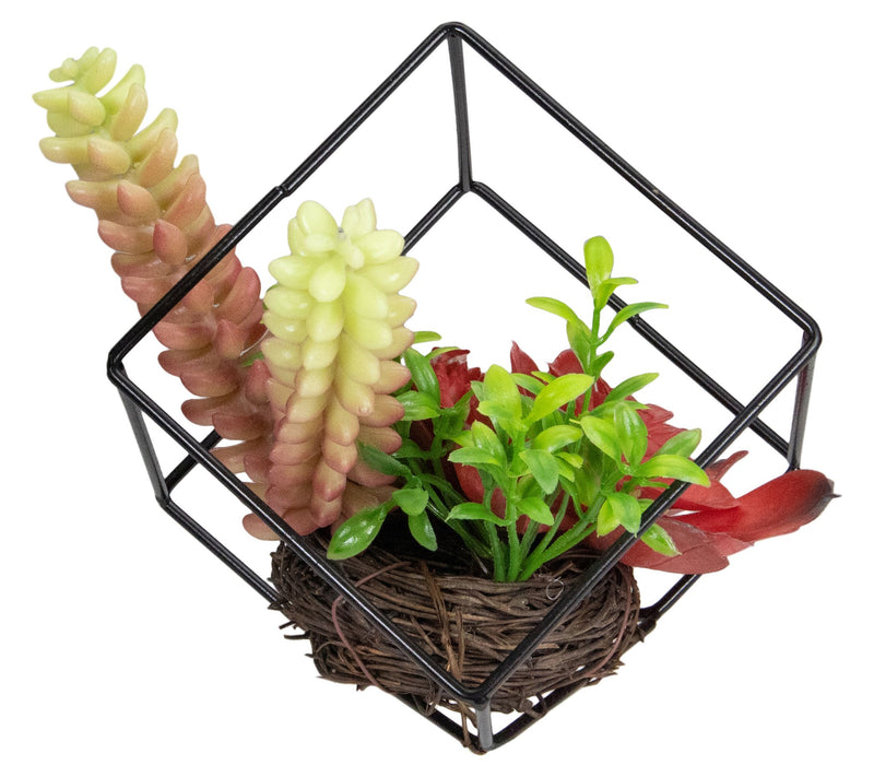 Northlight 5.5" Artificial Succulent Arrangement in Wire Frame — View 4
