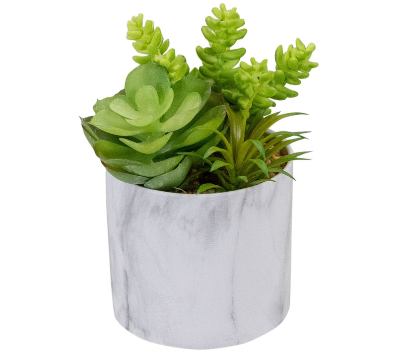 Northlight 6.5" Artificial Succulents in Faux Marble Pot — Main view