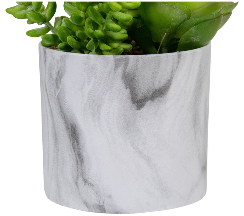 Northlight 6.5" Artificial Succulents in Faux Marble Pot — View 5