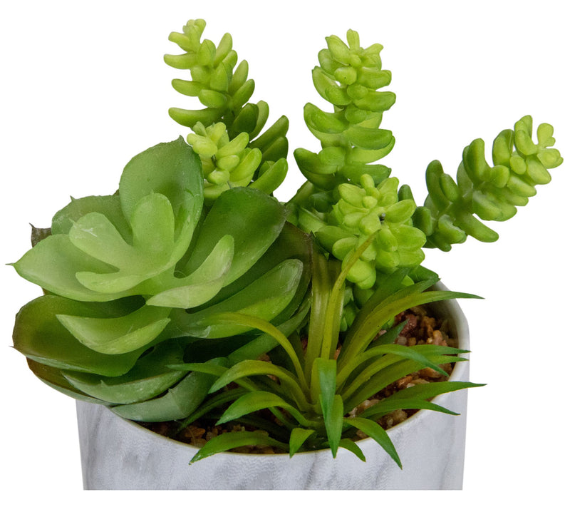 Northlight 6.5" Artificial Succulents in Faux Marble Pot — View 4