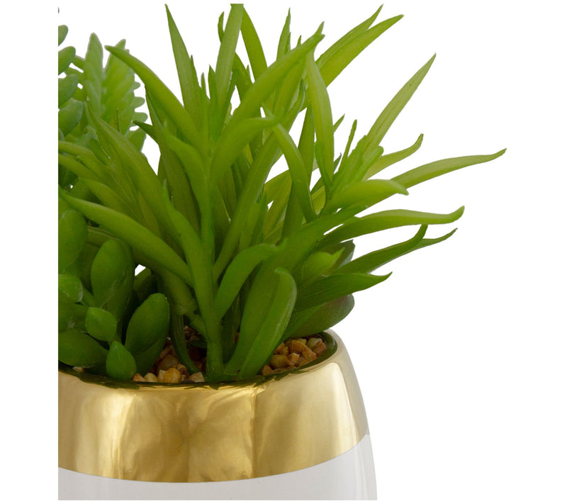 Northlight 6.5" Potted Artificial Succulent Arrangement — View 6