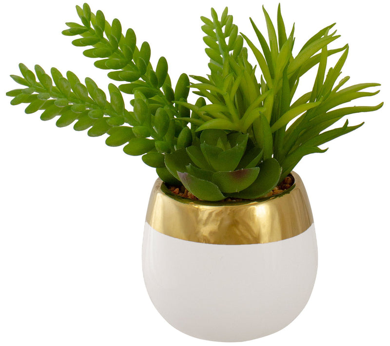 Northlight 6.5" Potted Artificial Succulent Arrangement — View 3