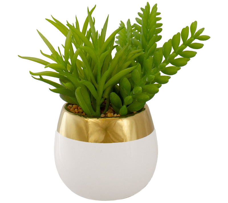 Northlight 6.5" Potted Artificial Succulent Arrangement — View 4