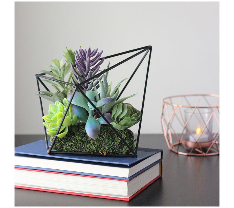 Northlight 6.75" Artificial Succulents in Diamond Metal Wire — View 5