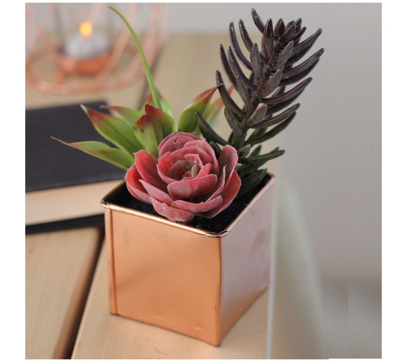 Northlight 7" Artificial Potted Mixed Succulent Arrangement — View 5