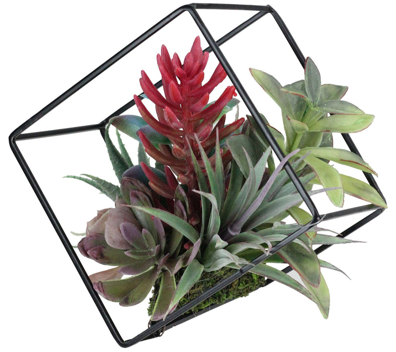 Northlight 7" Artificial Succulent Arrangementin Wire Frame — View 4