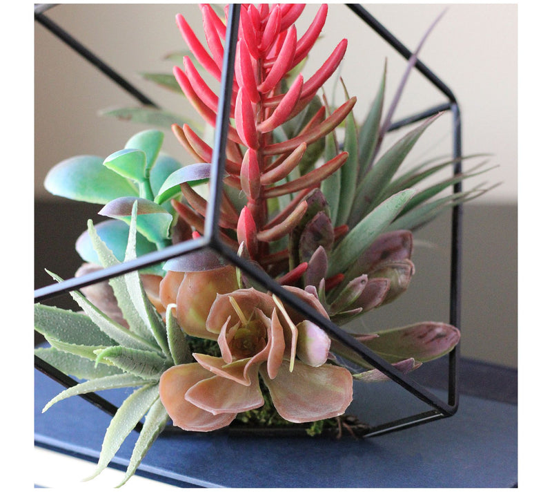 Northlight 7" Artificial Succulent Arrangementin Wire Frame — View 5