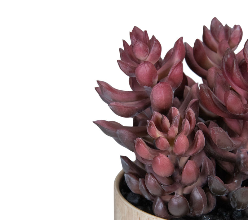 Northlight 7" Purple Artificial Succulent in Faux Wood Pot — View 6