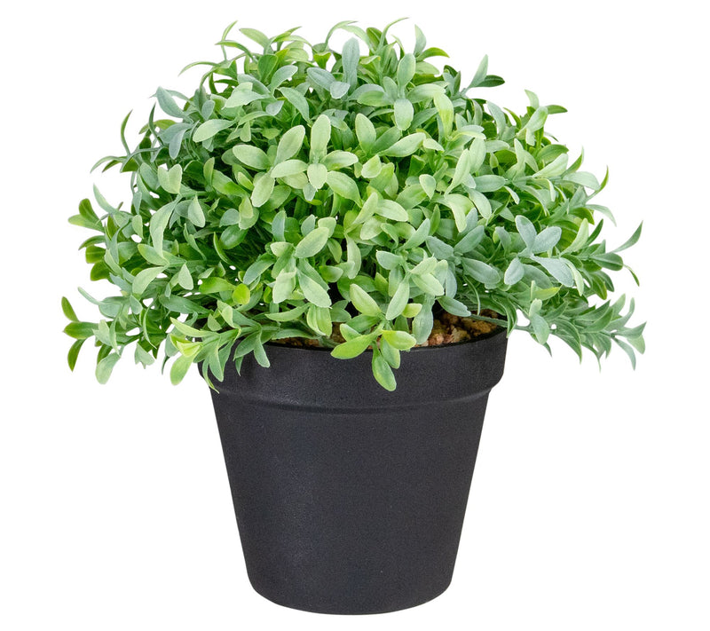 Northlight 7.5" Artificial Chinese Yew Plant in Black Pot — Main view