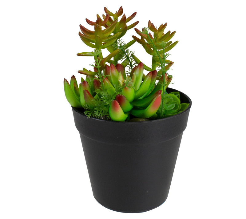 Northlight 8" Artificial Mixed Succulent Plant Arrangement — Main view