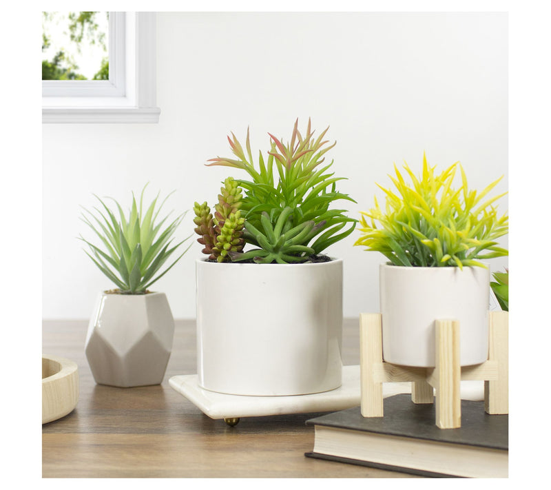 Northlight 9" Artificial Succulent Arrangementin Ceramic Pot — View 7