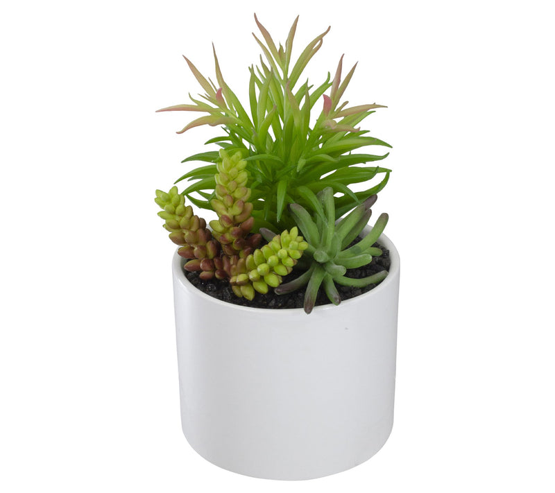 Northlight 9" Artificial Succulent Arrangementin Ceramic Pot — View 5