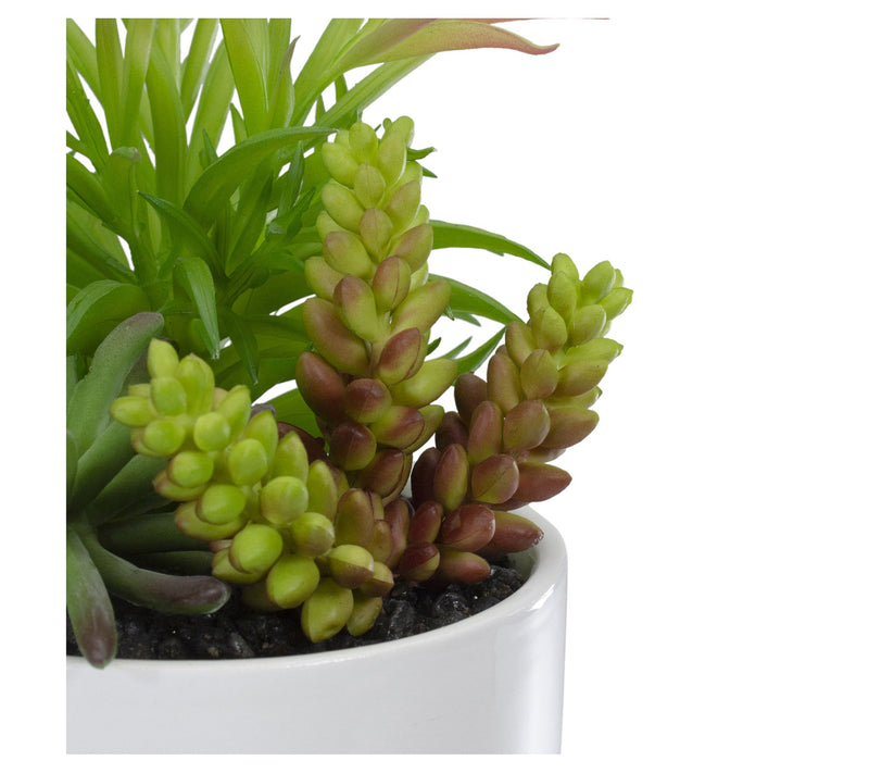 Northlight 9" Artificial Succulent Arrangementin Ceramic Pot — View 6