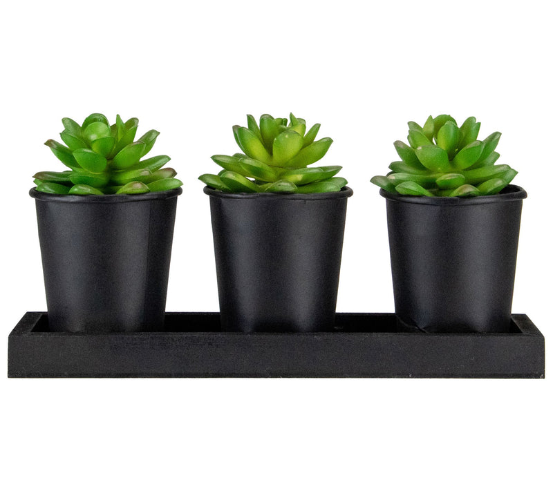 Northlight Set of 3 Artificial Potted Succulents w/Wood — View 3