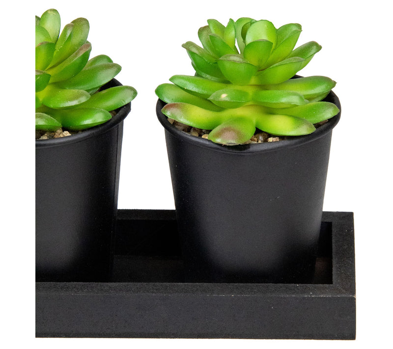Northlight Set of 3 Artificial Potted Succulents w/Wood — View 6