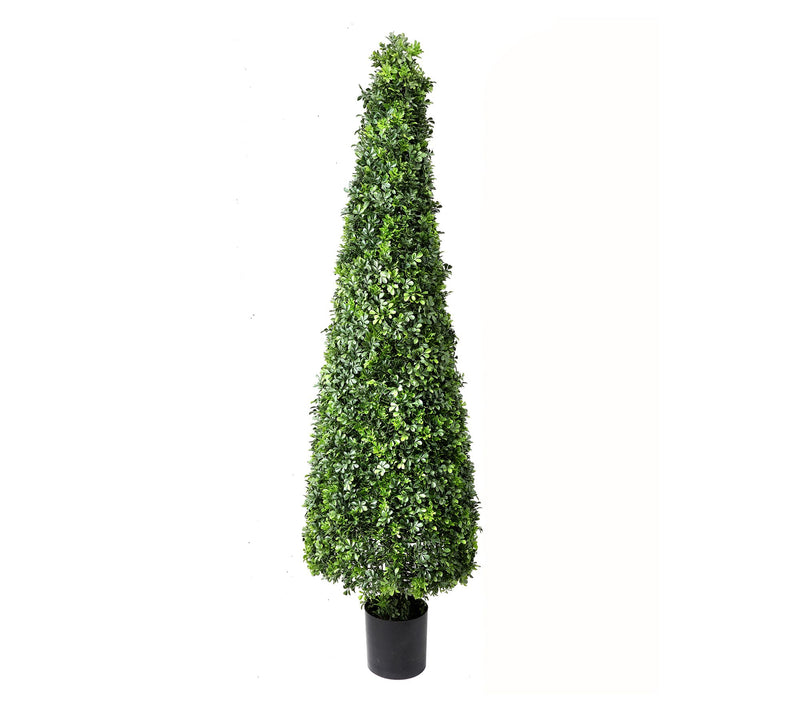 72" English Boxwood Cone Topiary by Valerie — View 3