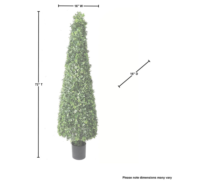 72" English Boxwood Cone Topiary by Valerie — View 6